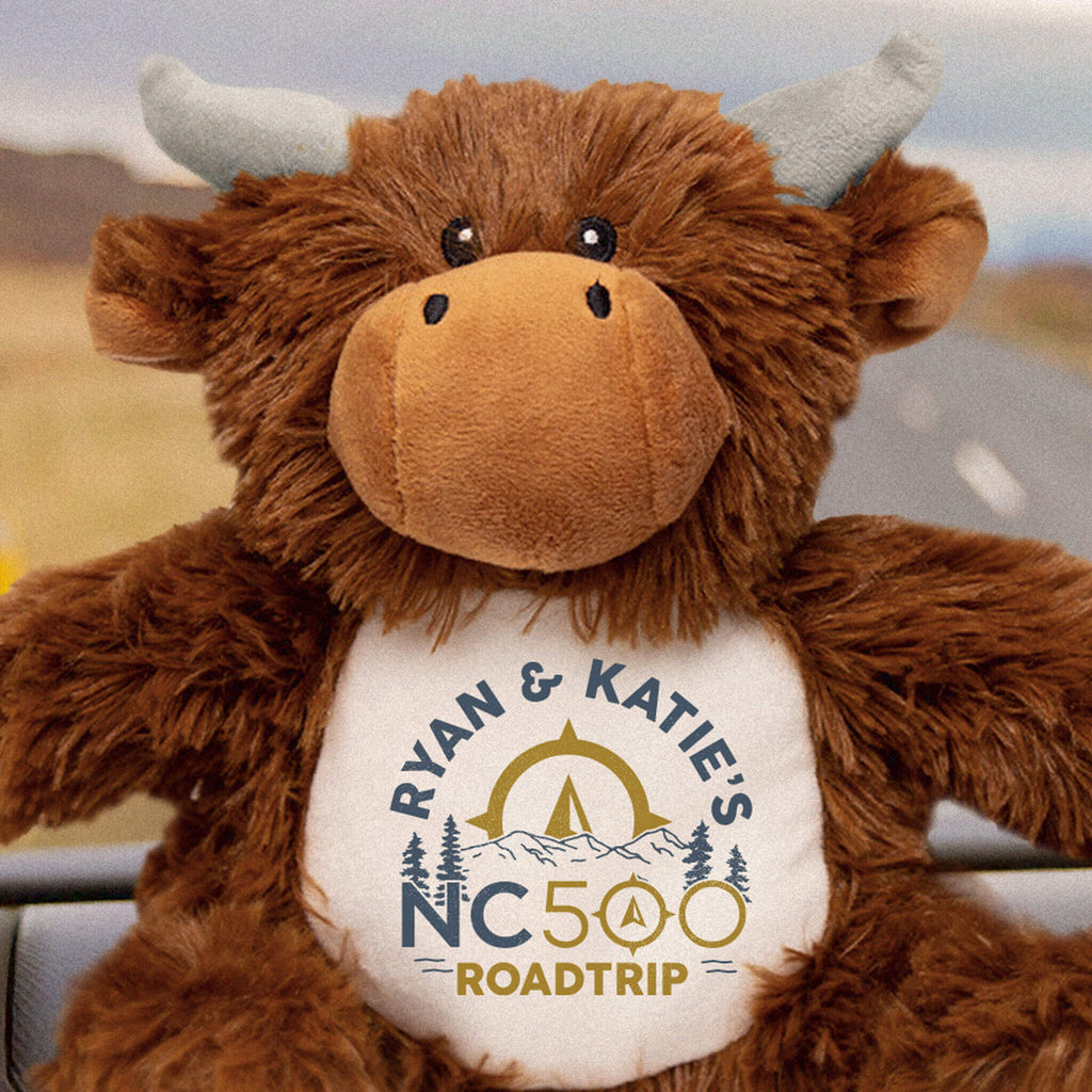 Close up image of personalised NC500 Highland Coo mascot sitting on dashboard of campervan